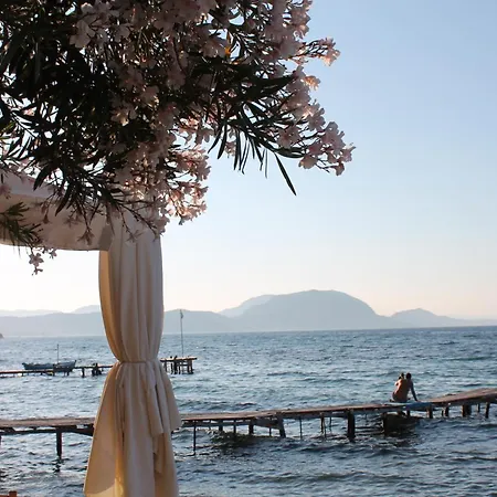 Theama Corfu Marathias (Corfu)